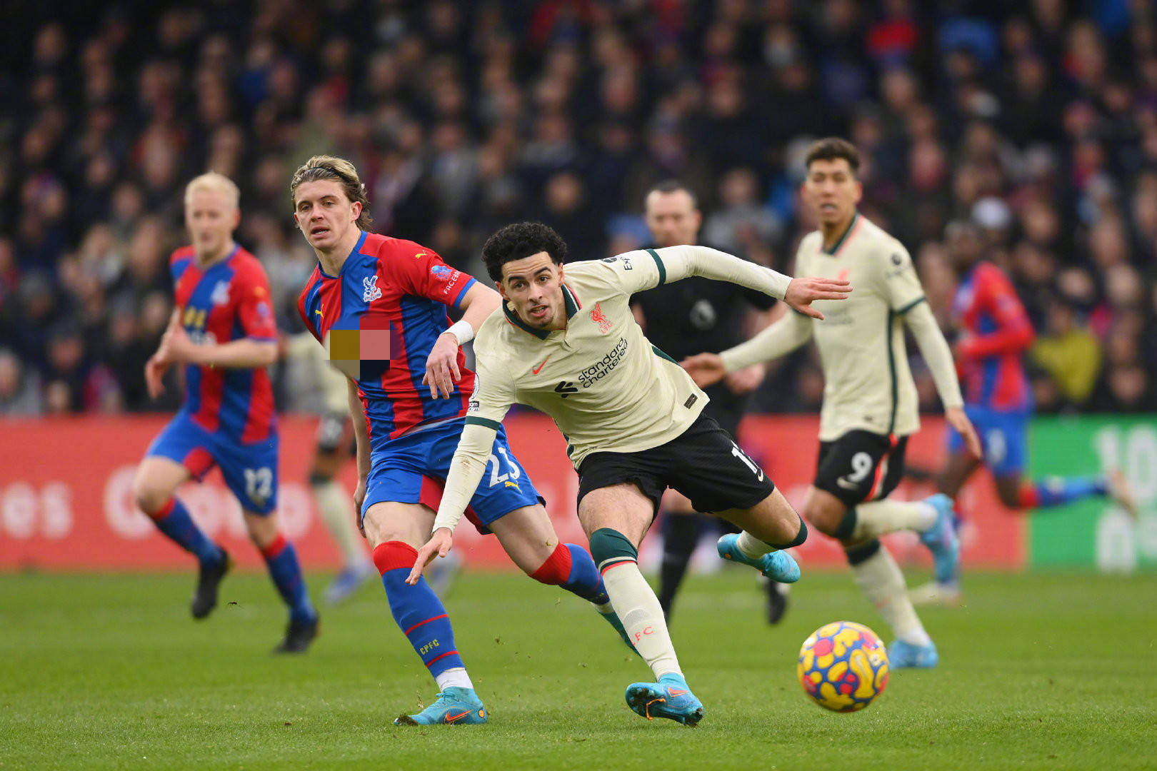 成长和城市 成长和城市